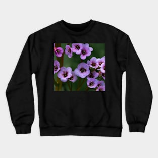 Purple flowers in bloom Crewneck Sweatshirt